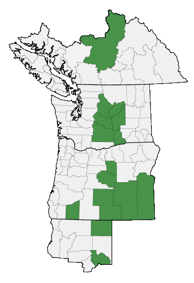 Map of where plant is found