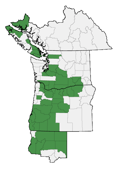 Map of where plant is found