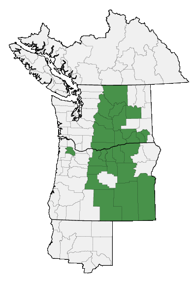 Map of where plant is found