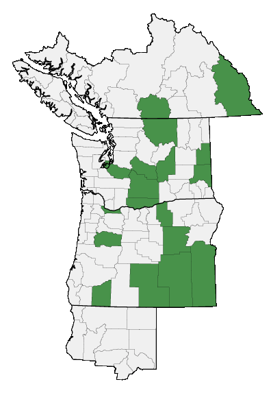 Map of where plant is found