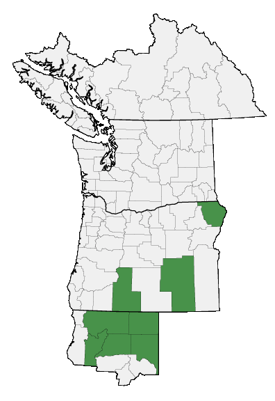 Map of where plant is found