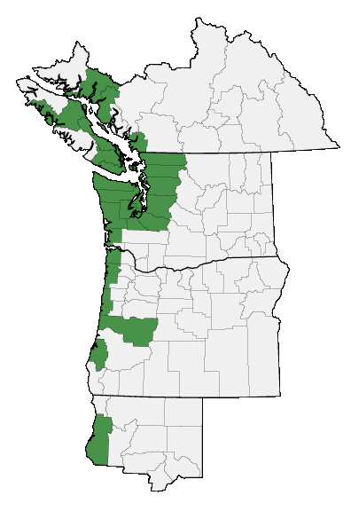 Map of where plant is found