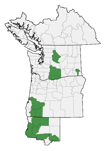 Map of where plant is found