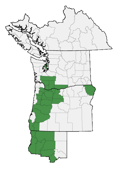 Map of where plant is found