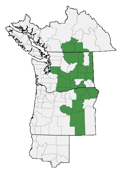 Map of where plant is found