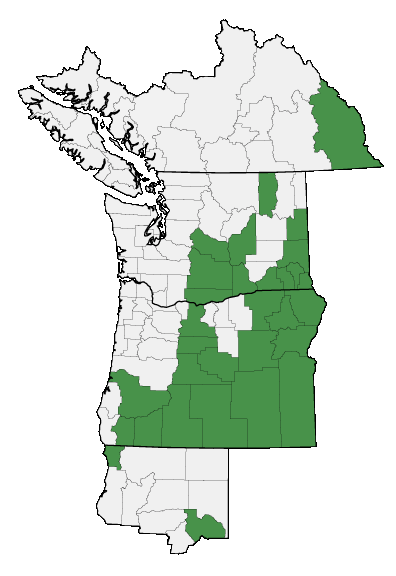 Map of where plant is found