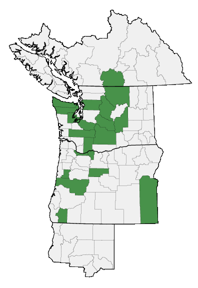 Map of where plant is found