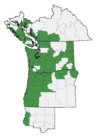 Map of where plant is found