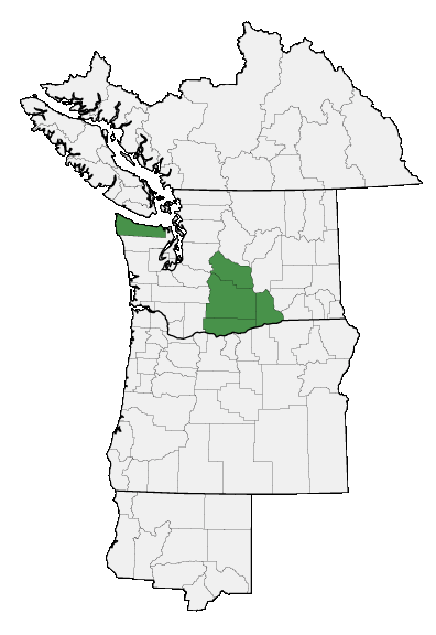 Map of where plant is found