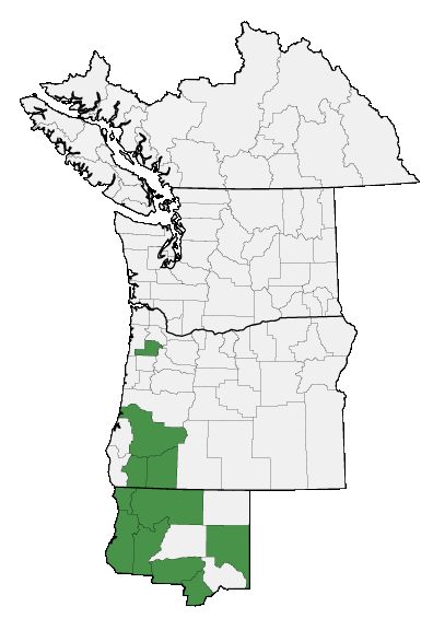 Map of where plant is found