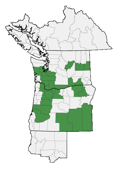 Map of where plant is found