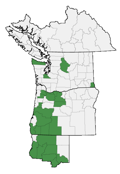 Map of where plant is found