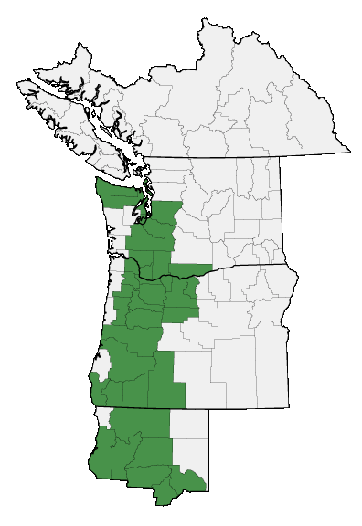 Map of where plant is found