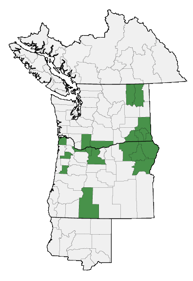 Map of where plant is found