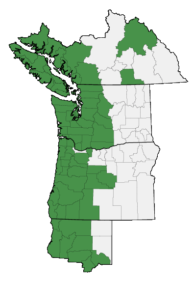 Map of where plant is found