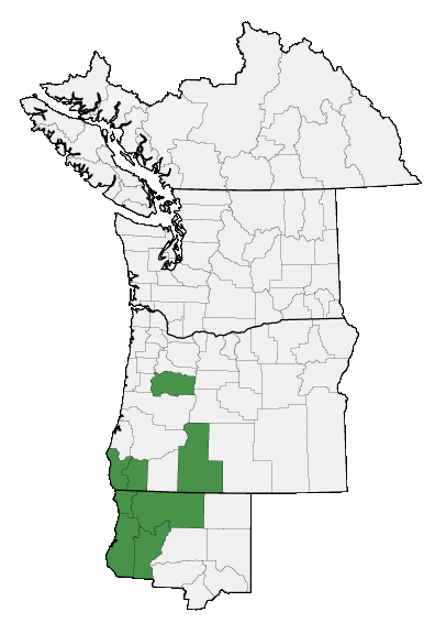 Map of where plant is found