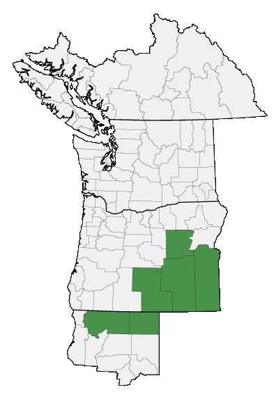 Map of where plant is found