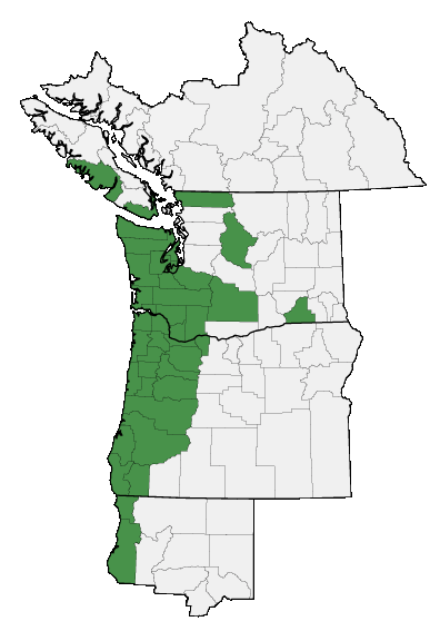 Map of where plant is found