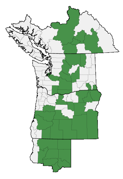 Map of where plant is found