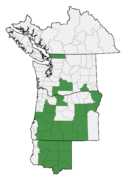 Map of where plant is found