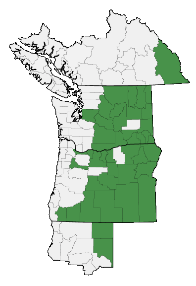 Map of where plant is found