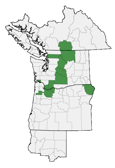 Map of where plant is found