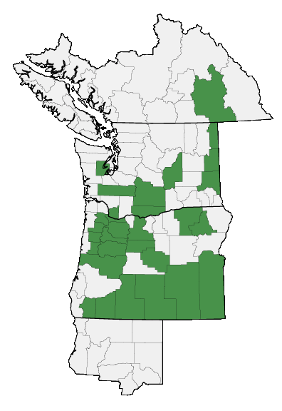 Map of where plant is found