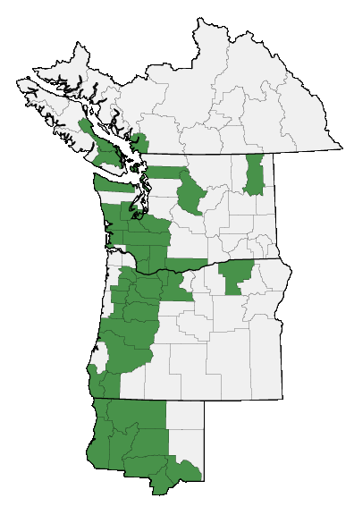 Map of where plant is found