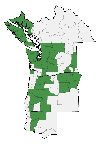 Map of where plant is found