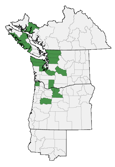 Map of where plant is found