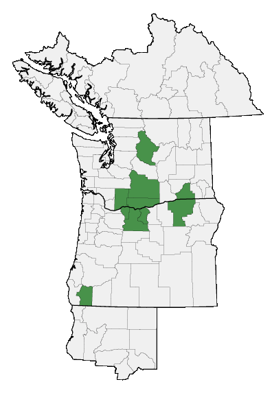 Map of where plant is found