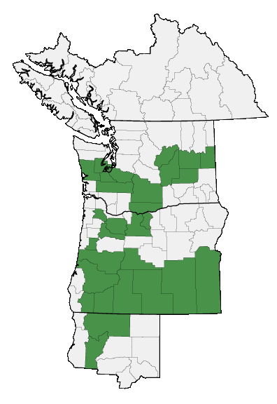 Map of where plant is found