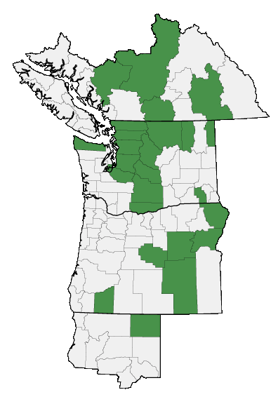 Map of where plant is found