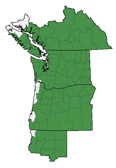 Map of where plant is found