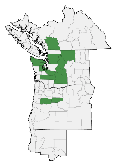 Map of where plant is found