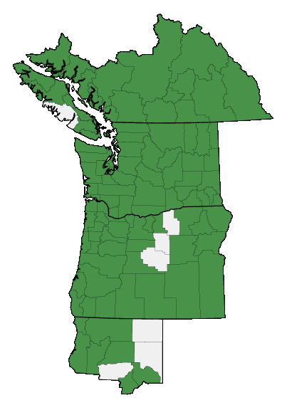 Map of where plant is found