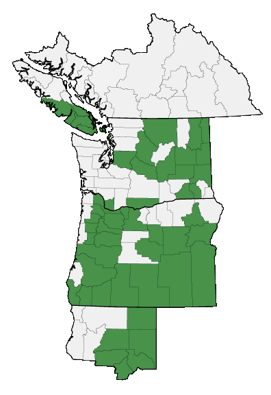 Map of where plant is found
