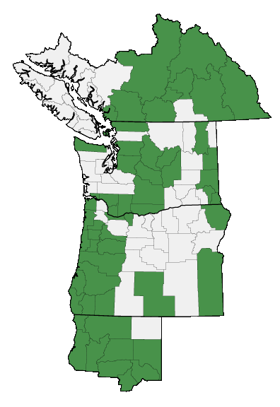 Map of where plant is found