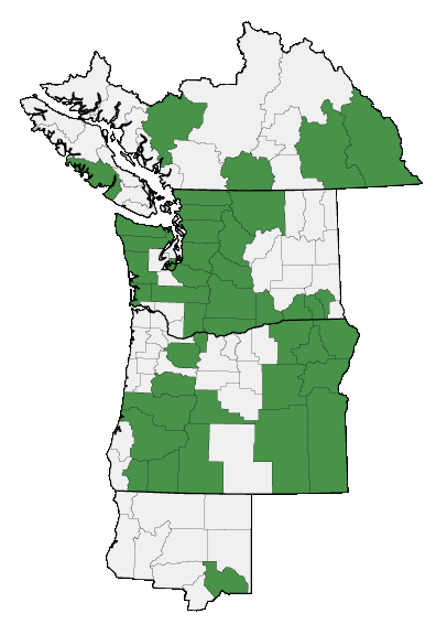 Map of where plant is found