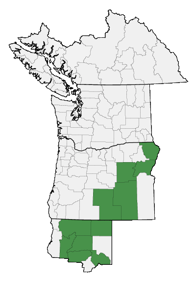 Map of where plant is found