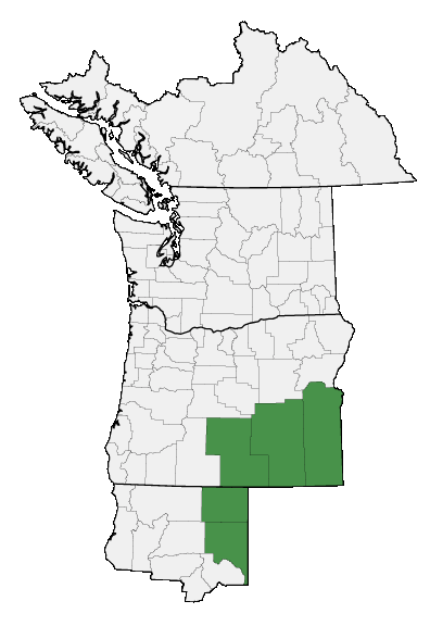 Map of where plant is found