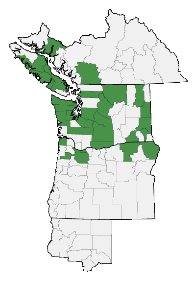 Map of where plant is found