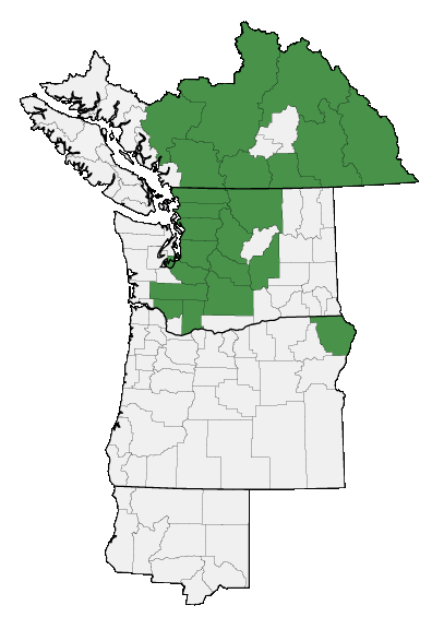 Map of where plant is found