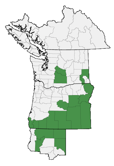 Map of where plant is found