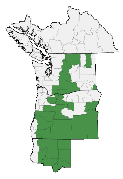 Map of where plant is found