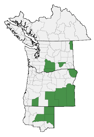 Map of where plant is found