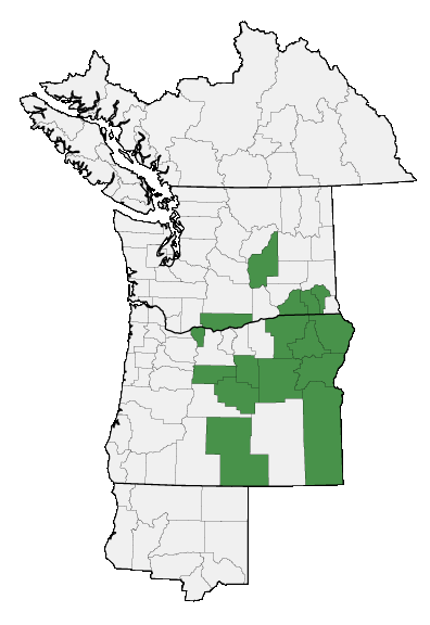 Map of where plant is found