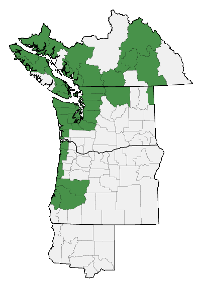 Map of where plant is found