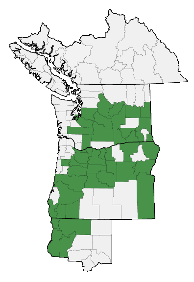 Map of where plant is found