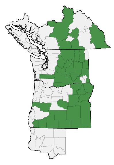 Map of where plant is found